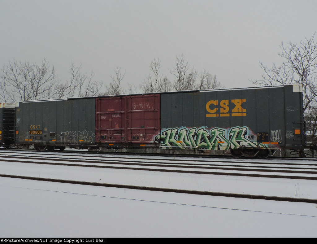 CSX 180606 (2)